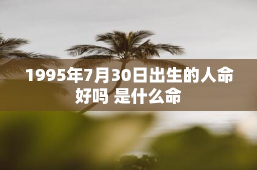 1995年7月30日出生的人命好吗 是什么命