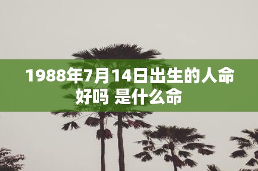 1988年7月14日出生的人命好吗 是什么命