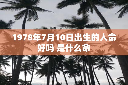 1978年7月10日出生的人命好吗 是什么命