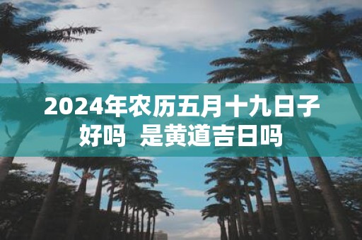 2025年农历五月十九日子好吗 是黄道吉日吗