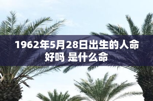 1962年5月28日出生的人命好吗 是什么命
