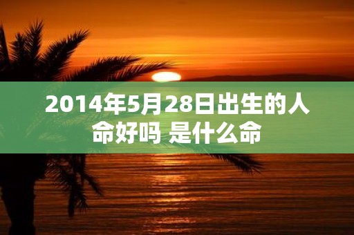 2014年5月28日出生的人命好吗 是什么命