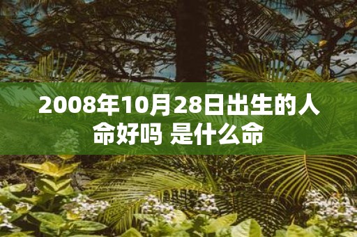 2008年10月28日出生的人命好吗 是什么命