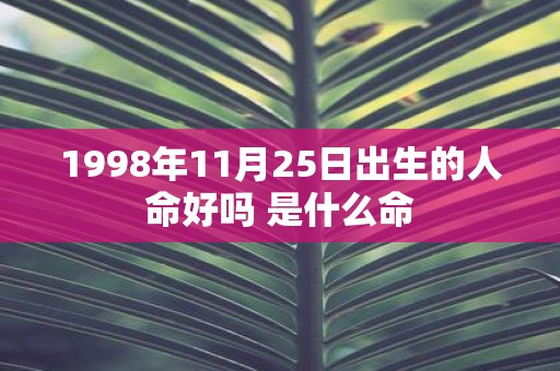 1998年11月25日出生的人命好吗 是什么命
