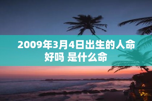 2009年3月4日出生的人命好吗 是什么命