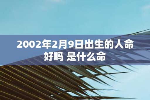 2002年2月9日出生的人命好吗 是什么命