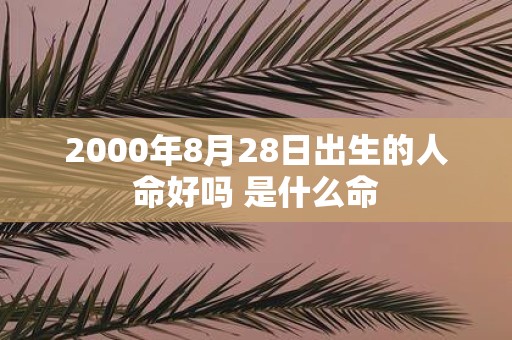 2000年8月28日出生的人命好吗 是什么命