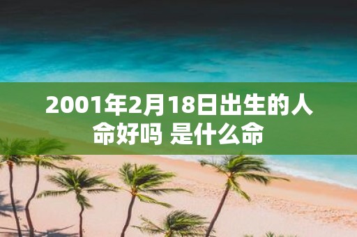 2001年2月18日出生的人命好吗 是什么命