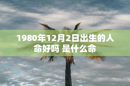 1980年12月2日出生的人命好吗 是什么命