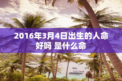 2016年3月4日出生的人命好吗 是什么命