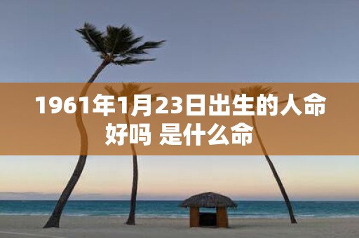 1961年1月23日出生的人命好吗 是什么命