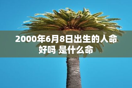 2000年6月8日出生的人命好吗 是什么命