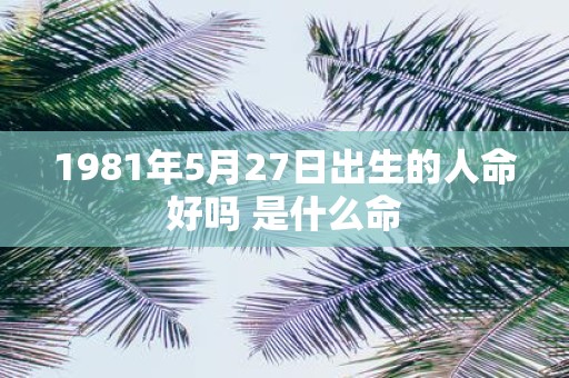 1981年5月27日出生的人命好吗 是什么命