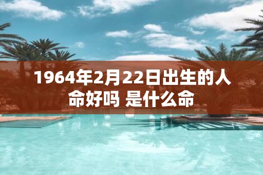 1964年2月22日出生的人命好吗 是什么命