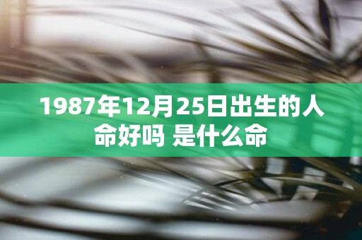 1987年12月25日出生的人命好吗 是什么命