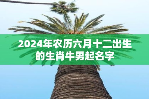 2025年农历六月十二出生的生肖牛男起名字