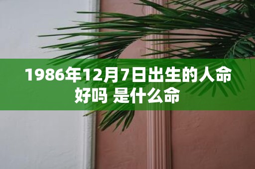 1986年12月7日出生的人命好吗 是什么命