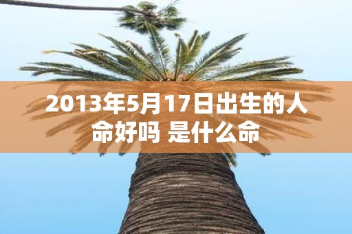 2013年5月17日出生的人命好吗 是什么命