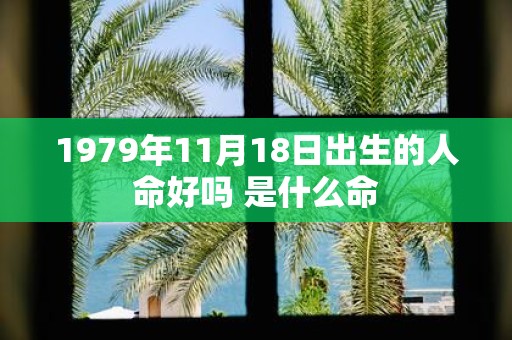 1979年11月18日出生的人命好吗 是什么命