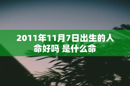 2011年11月7日出生的人命好吗 是什么命