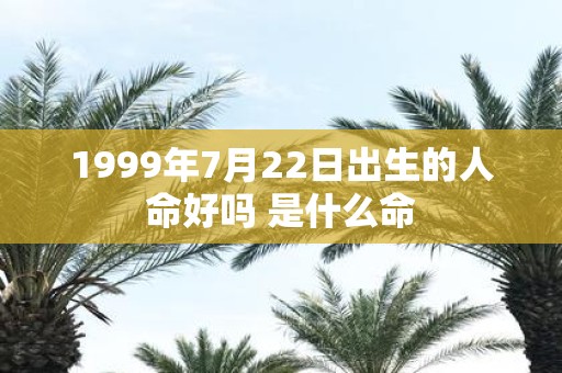 1999年7月22日出生的人命好吗 是什么命