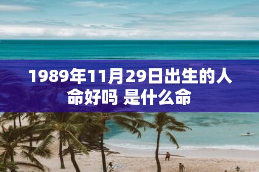 1989年11月29日出生的人命好吗 是什么命