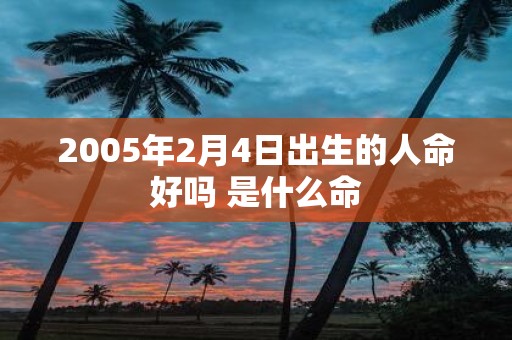 2005年2月4日出生的人命好吗 是什么命