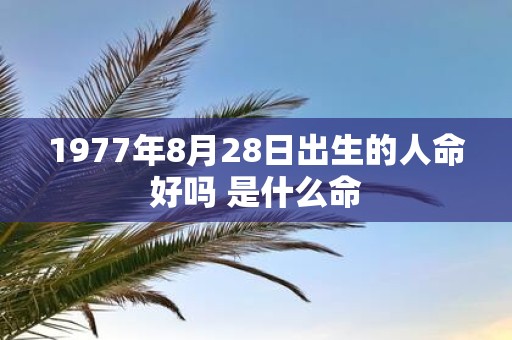 1977年8月28日出生的人命好吗 是什么命