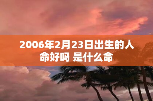 2006年2月23日出生的人命好吗 是什么命