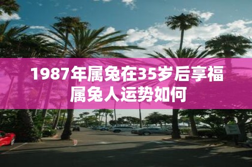 1987年属兔在35岁后享福 属兔人运势如何