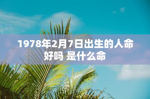 1978年2月7日出生的人命好吗 是什么命