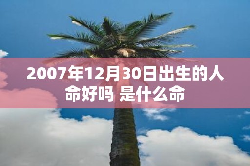 2007年12月30日出生的人命好吗 是什么命
