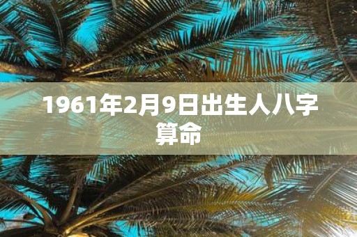 1961年2月9日出生人八字算命