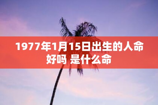 1977年1月15日出生的人命好吗 是什么命