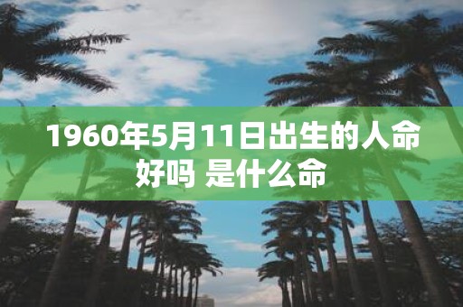 1960年5月11日出生的人命好吗 是什么命