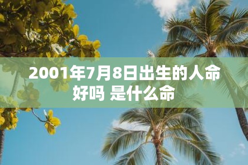 2001年7月8日出生的人命好吗 是什么命