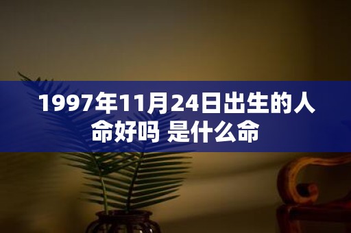 1997年11月24日出生的人命好吗 是什么命