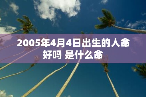2005年4月4日出生的人命好吗 是什么命