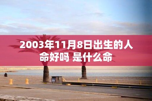 2003年11月8日出生的人命好吗 是什么命