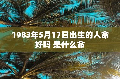 1983年5月17日出生的人命好吗 是什么命
