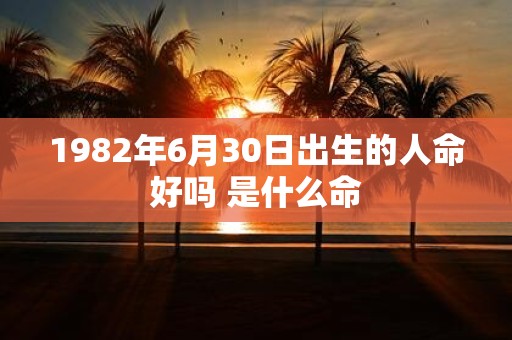 1982年6月30日出生的人命好吗 是什么命