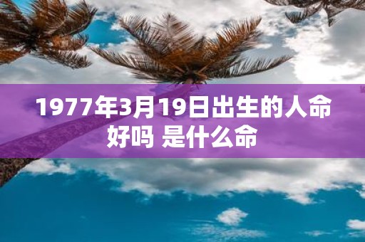 1977年3月19日出生的人命好吗 是什么命