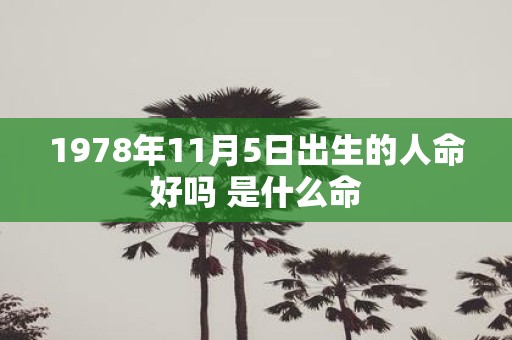 1978年11月5日出生的人命好吗 是什么命