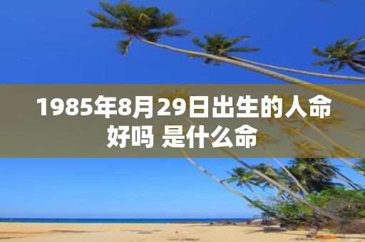 1985年8月29日出生的人命好吗 是什么命