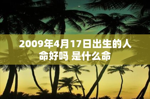2009年4月17日出生的人命好吗 是什么命
