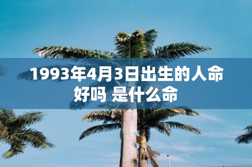1993年4月3日出生的人命好吗 是什么命