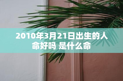 2010年3月21日出生的人命好吗 是什么命