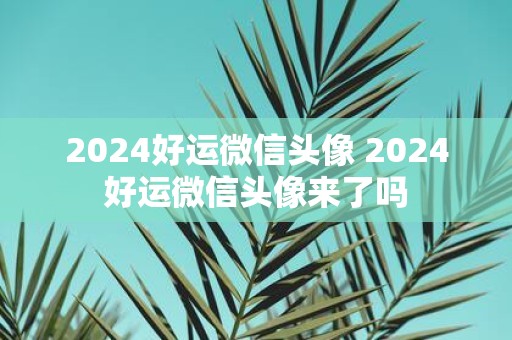 2025好运微信头像 2025好运微信头像来了吗