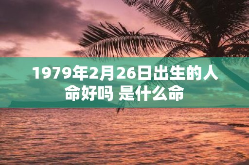 1979年2月26日出生的人命好吗 是什么命