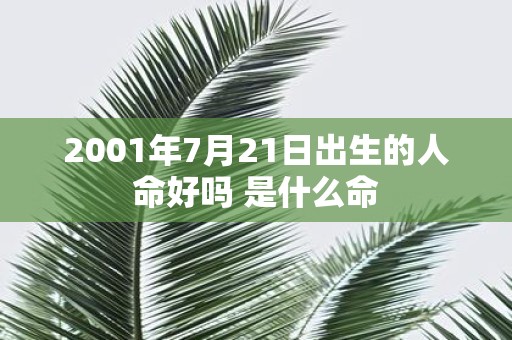 2001年7月21日出生的人命好吗 是什么命